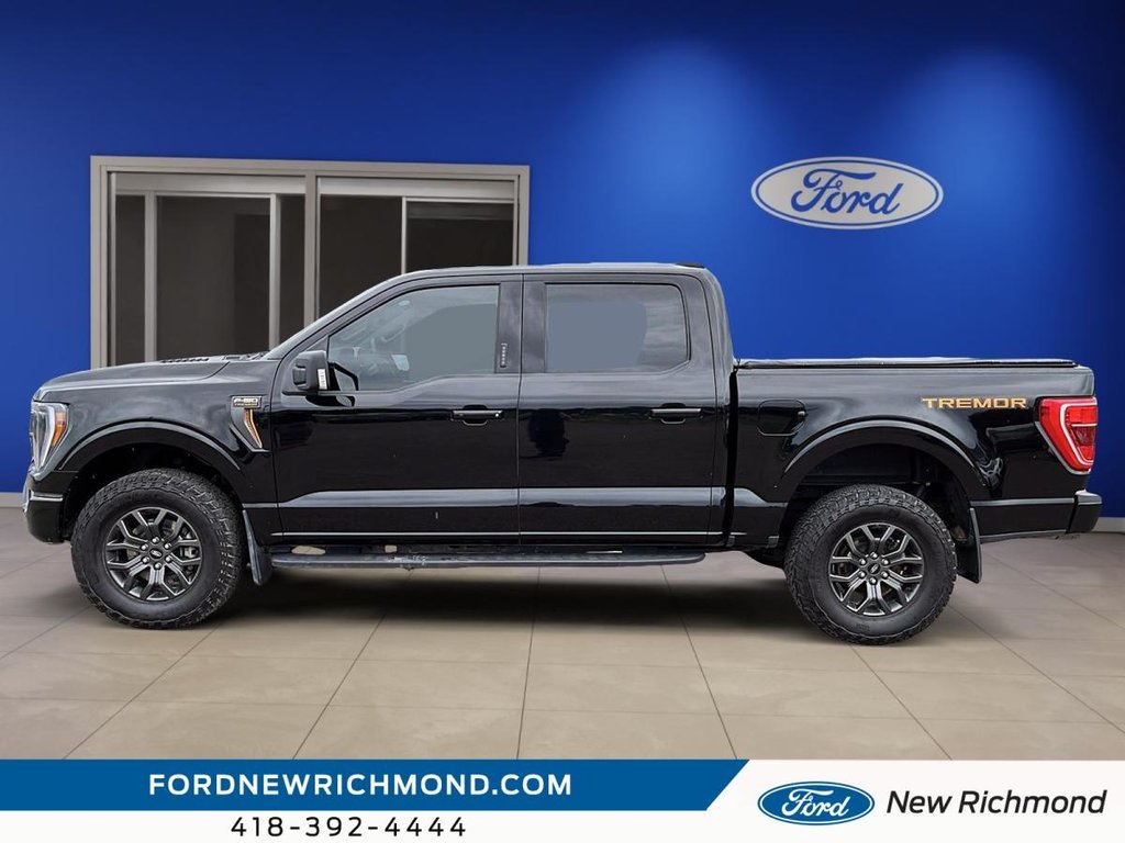 Ford F-150 Tremor cabine SuperCrew 4RM caisse de 5,5 pi 2023 à New Richmond, Québec - 12 - w1024h768px