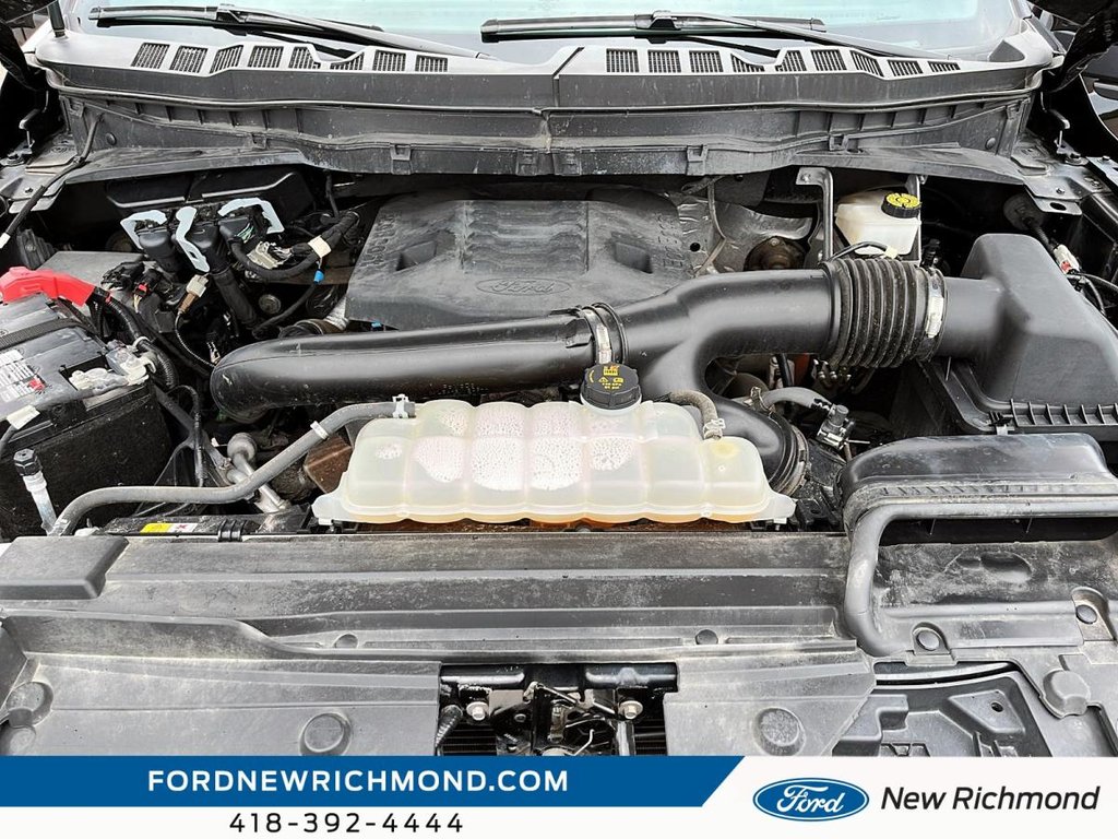 Ford F-150 Tremor cabine SuperCrew 4RM caisse de 5,5 pi 2023 à New Richmond, Québec - 43 - w1024h768px