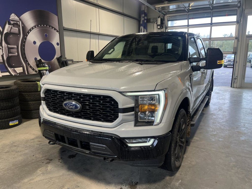 2023 Ford F-150 XLT Héritage cabine SuperCrew 4RM caisse de 5,5 pi in New Richmond, Quebec - 1 - w1024h768px