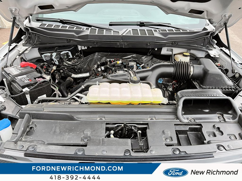 Ford F-150 XLT cabine SuperCrew 4RM caisse de 5,5 pi 2024 à New Richmond, Québec - 8 - w1024h768px