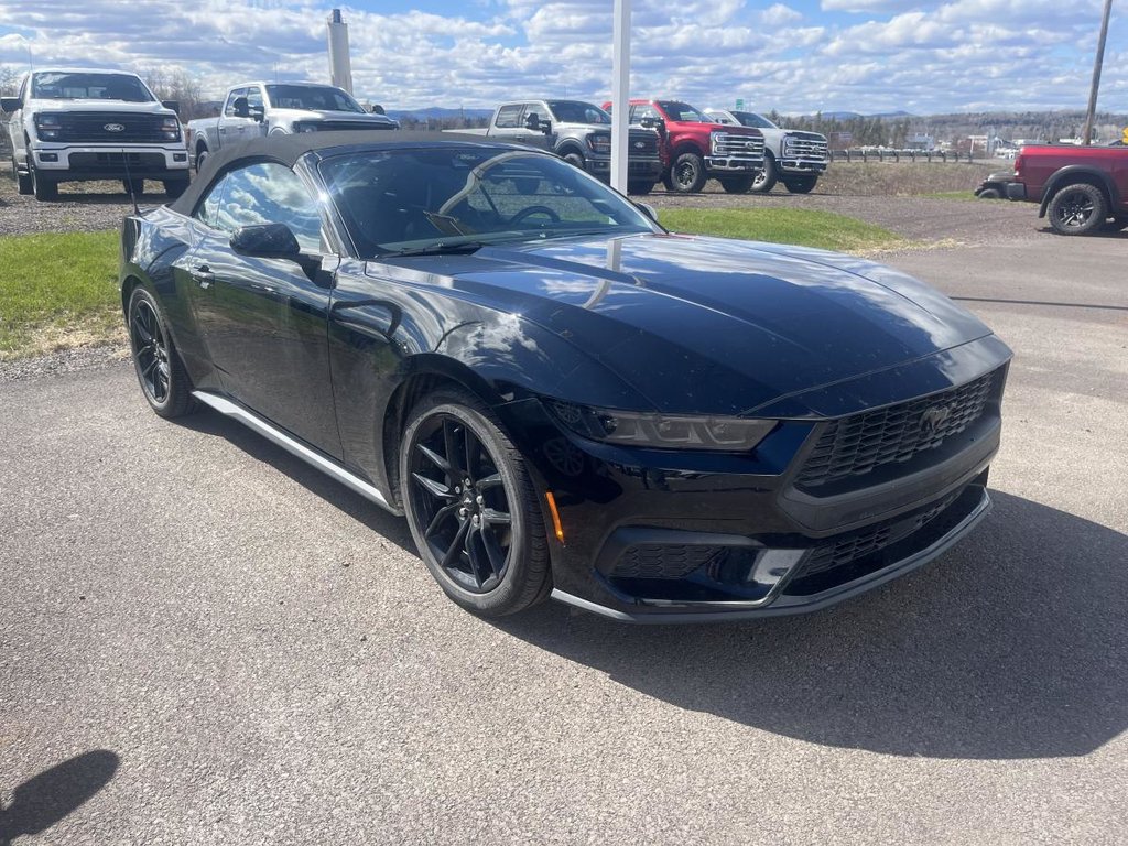 Ford Mustang EcoBoost décapotable 2024 à New Richmond, Québec - 1 - w1024h768px