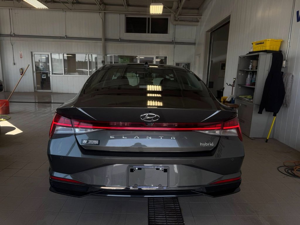 2023 Hyundai Elantra Hybrid Luxury in Hawkesbury, Ontario - 13 - w1024h768px