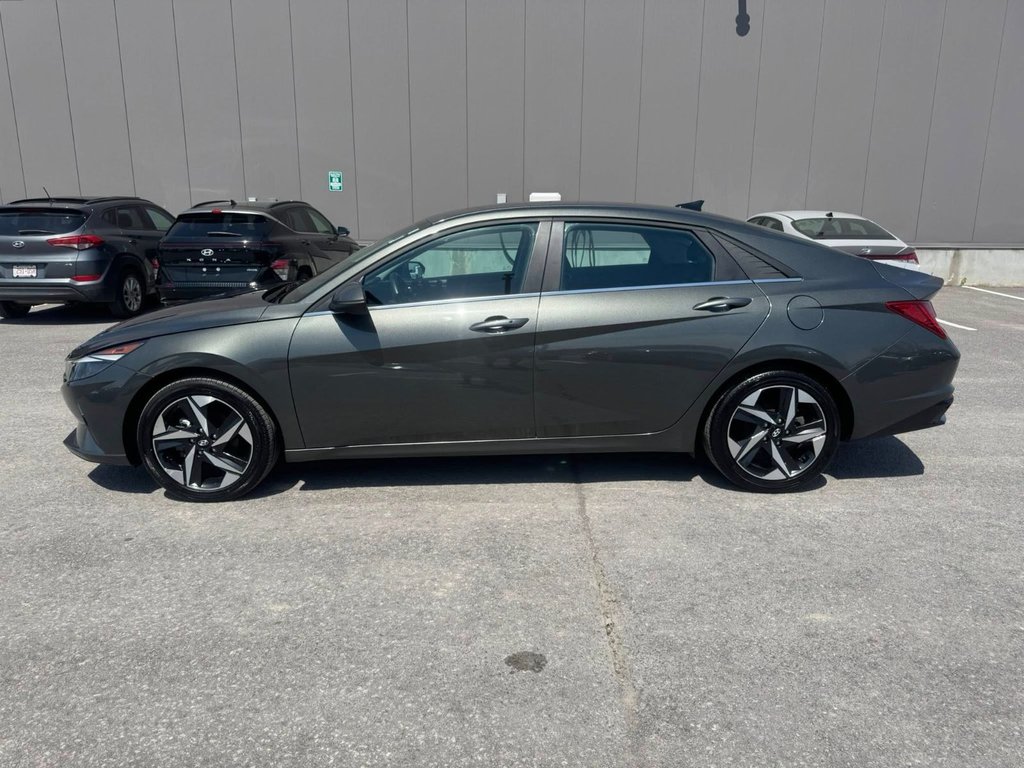 2023 Hyundai Elantra Hybrid Luxury in Hawkesbury, Ontario - 4 - w1024h768px