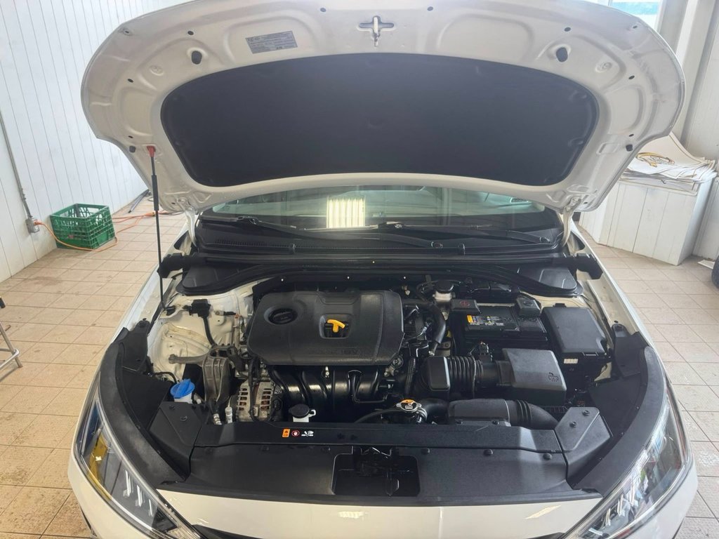 2020 Hyundai Elantra Luxury in Hawkesbury, Ontario - 16 - w1024h768px