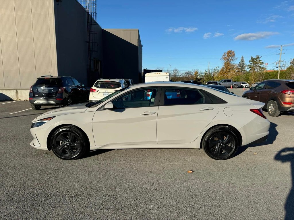 2023  Elantra Preferred in Hawkesbury, Ontario - 3 - w1024h768px