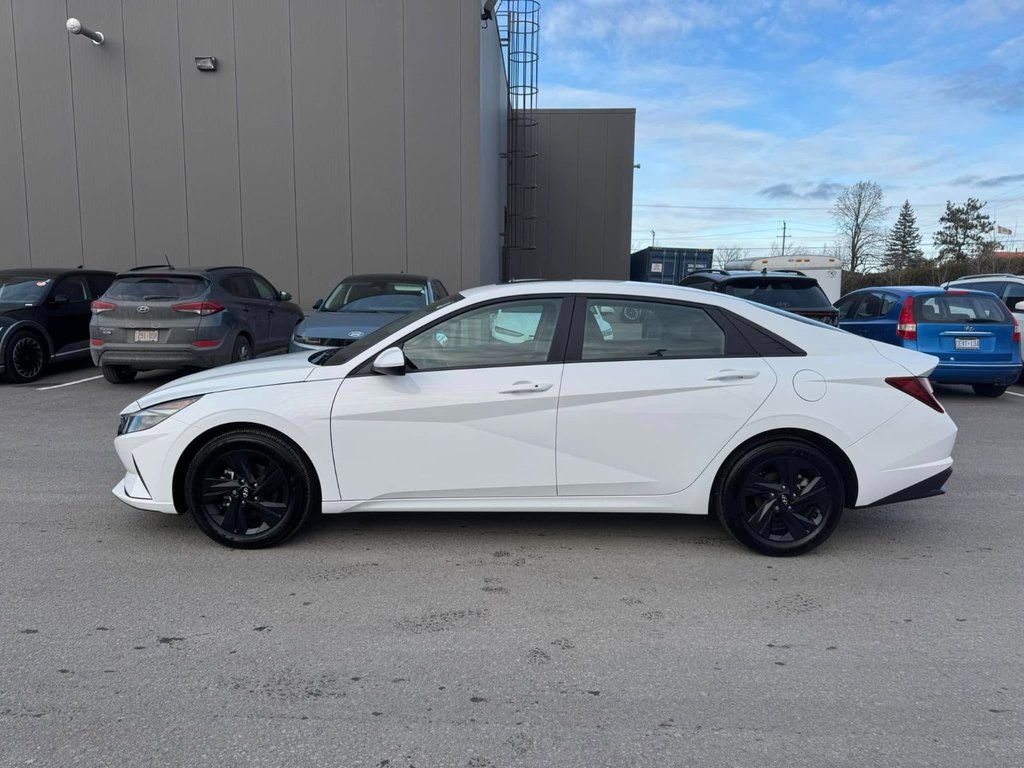 Elantra Preferred 2023 à Hawkesbury, Ontario - 3 - w1024h768px