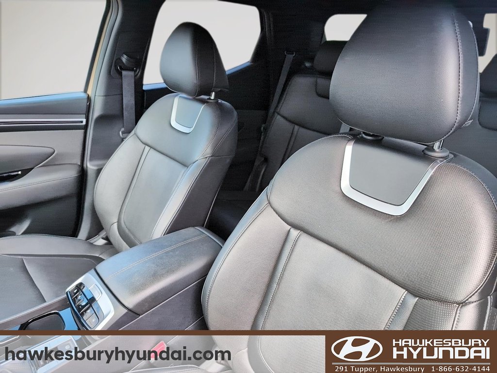 2024 Hyundai Santa Cruz Ultimate in Hawkesbury, Ontario - 9 - w1024h768px