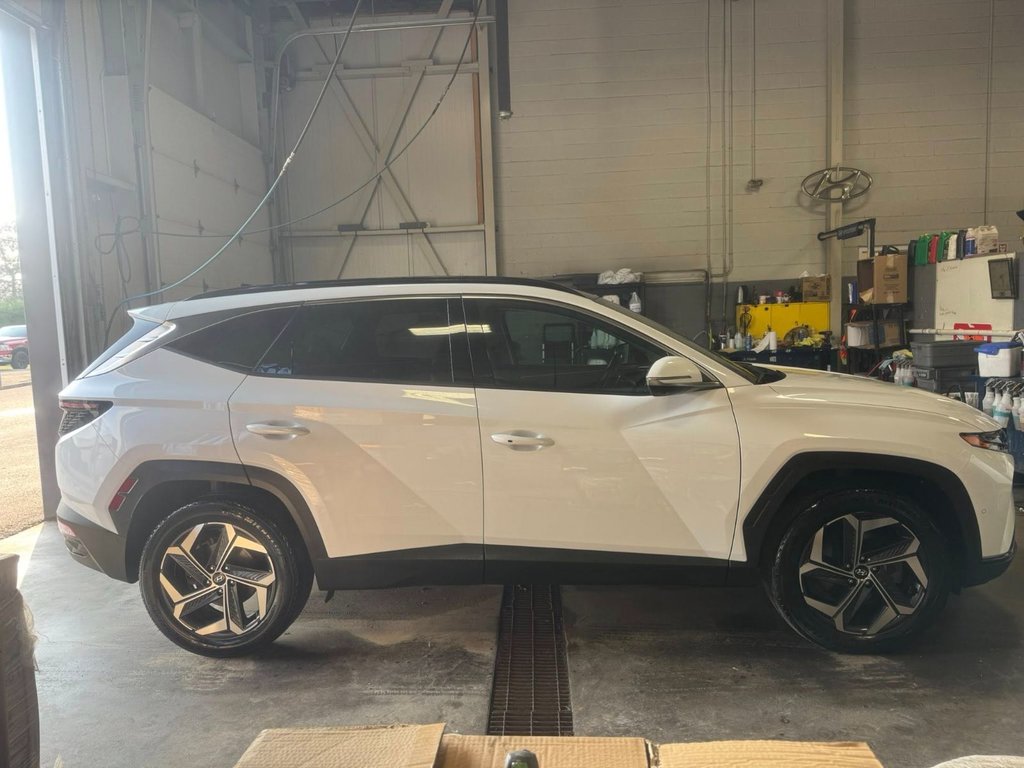2024 Hyundai Tucson Hybrid Ultimate in Hawkesbury, Ontario - 11 - w1024h768px