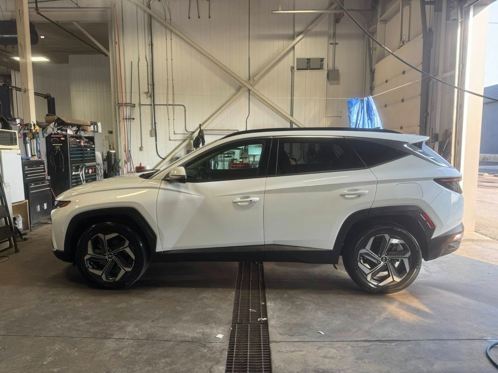 2024 Hyundai Tucson Hybrid Ultimate in Hawkesbury, Ontario - 10 - w1024h768px