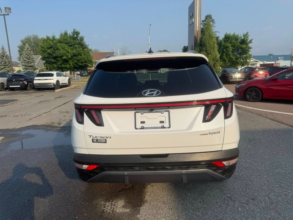 2024 Hyundai Tucson Hybrid Ultimate in Hawkesbury, Ontario - 6 - w1024h768px