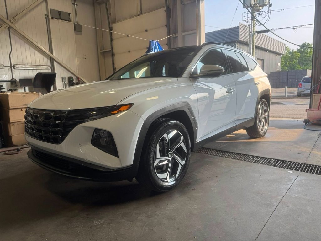 2024 Hyundai Tucson Hybrid Ultimate in Hawkesbury, Ontario - 9 - w1024h768px