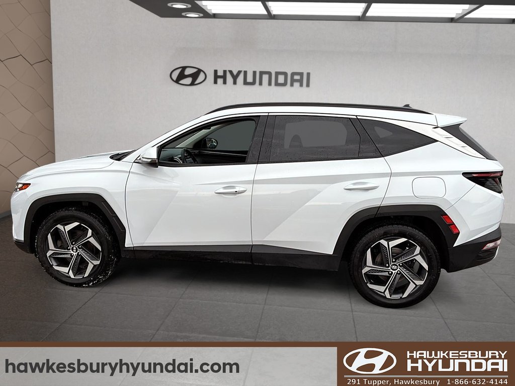 2023 Hyundai Tucson Plug-In Hybrid Luxury in Hawkesbury, Ontario - 5 - w1024h768px
