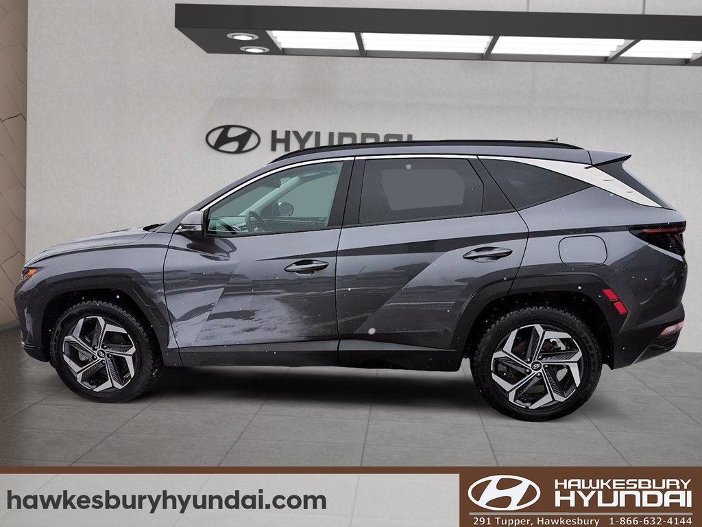 2024 Hyundai Tucson Plug-In Hybrid Ultimate in Hawkesbury, Ontario - 5 - w1024h768px