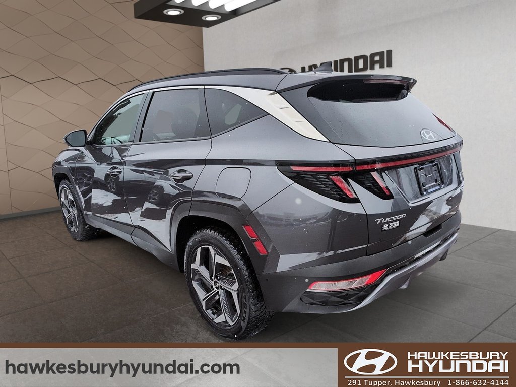 2024 Hyundai Tucson Plug-In Hybrid Ultimate in Hawkesbury, Ontario - 4 - w1024h768px