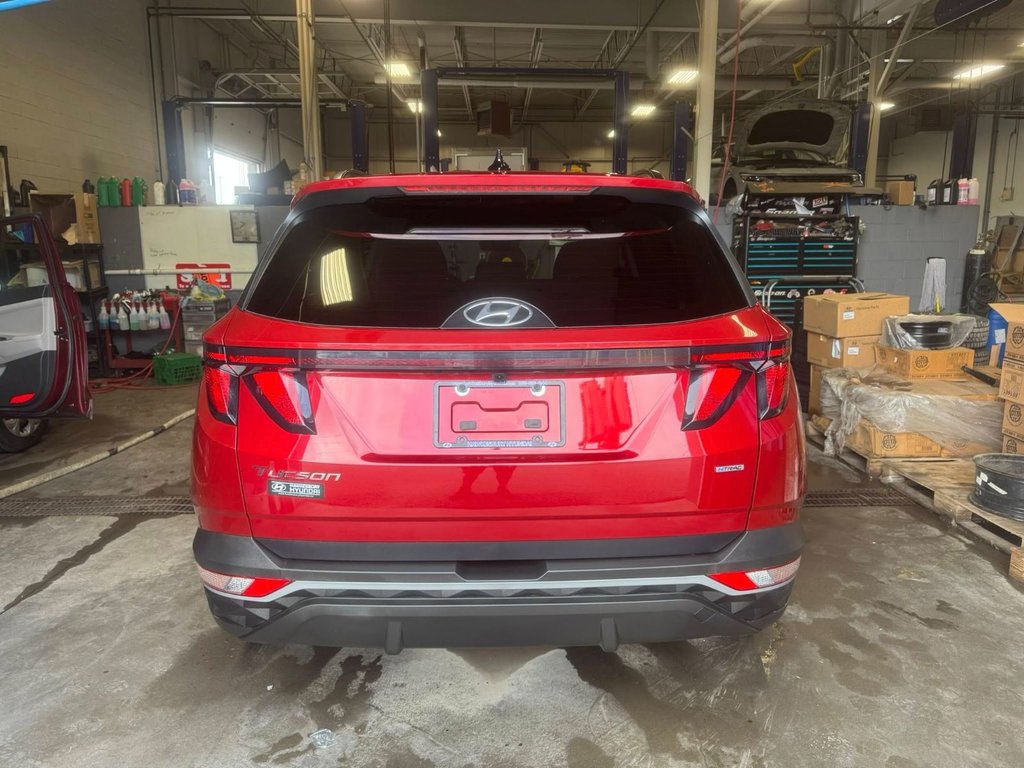 2024 Hyundai Tucson Preferred in Hawkesbury, Ontario - 9 - w1024h768px