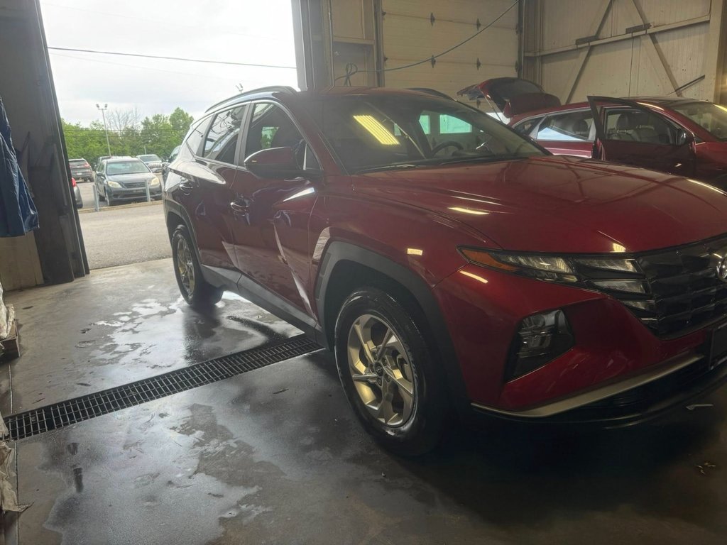 2024 Hyundai Tucson Preferred in Hawkesbury, Ontario - 5 - w1024h768px