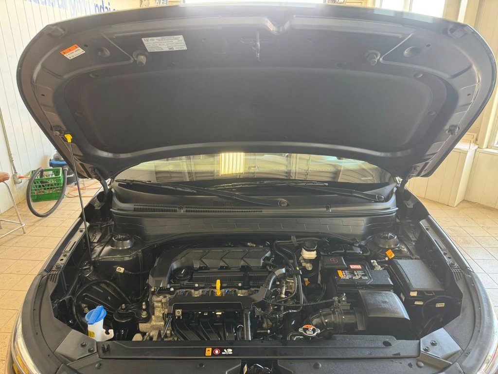 2023 Hyundai Venue Ultimate in Hawkesbury, Ontario - 14 - w1024h768px