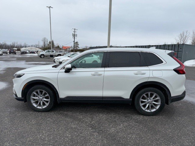 Honda CR-V EX-L 2023 à Hawkesbury, Ontario - 5 - w1024h768px