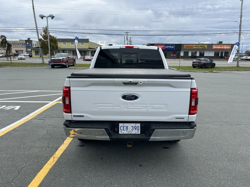 2021  F-150 XLT in St. John's, Newfoundland and Labrador - 6 - w1024h768px