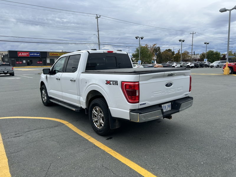 2021  F-150 XLT in St. John's, Newfoundland and Labrador - 5 - w1024h768px