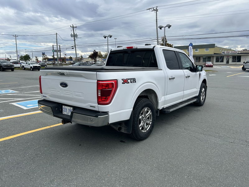 2021  F-150 XLT in St. John's, Newfoundland and Labrador - 7 - w1024h768px