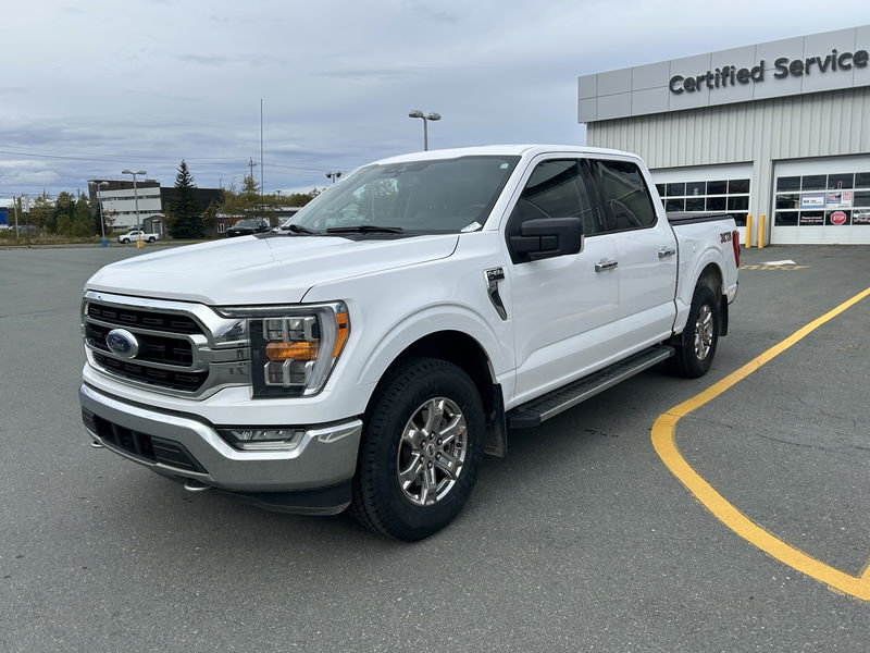 2021  F-150 XLT in St. John's, Newfoundland and Labrador - 3 - w1024h768px