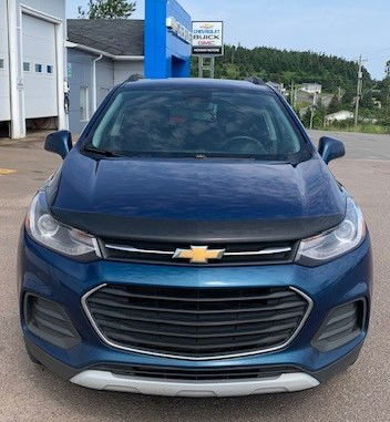 2019  Trax LT in Newfoundland and Labrador, Newfoundland and Labrador - 3 - w1024h768px