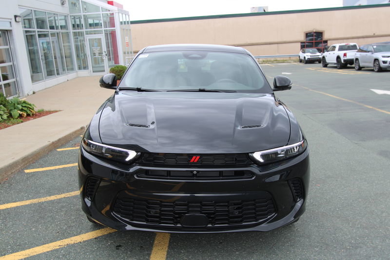 2024  HORNET R/T in St. John's, Newfoundland and Labrador - 4 - w1024h768px