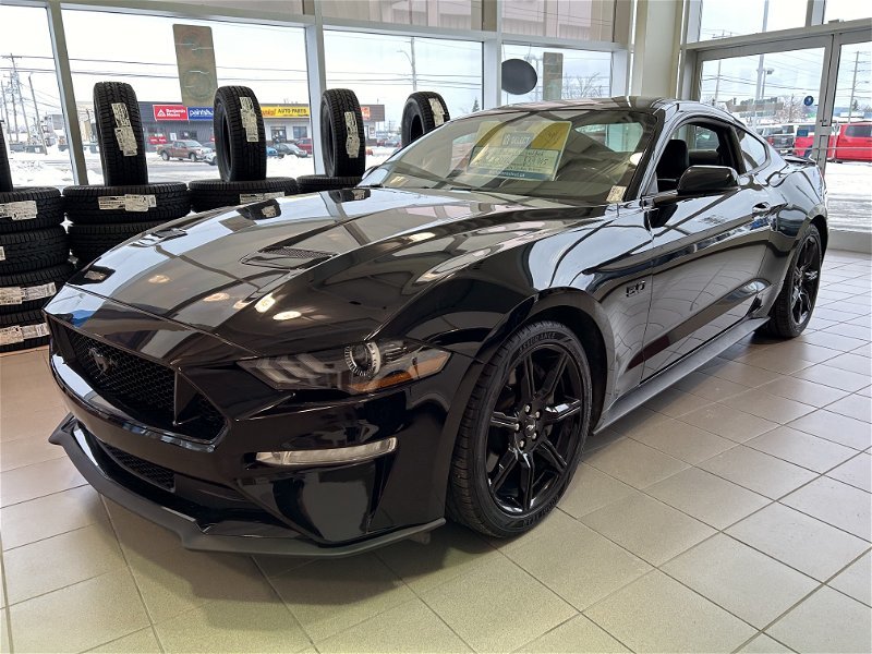 2020  Mustang GT in Gander, Newfoundland and Labrador - 3 - w1024h768px