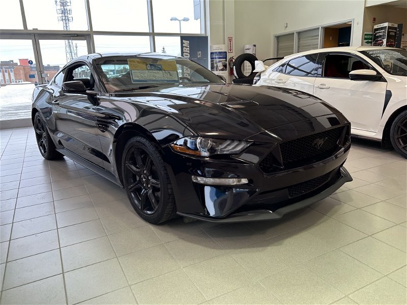 2020  Mustang GT in Gander, Newfoundland and Labrador - 1 - w1024h768px