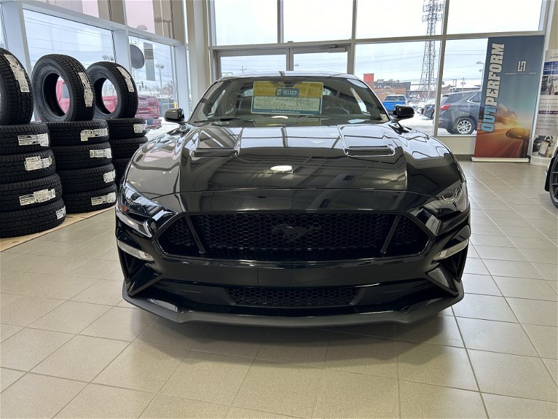 2020  Mustang GT in Gander, Newfoundland and Labrador - 2 - w1024h768px