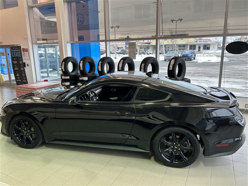 2020  Mustang GT in St. John's, Newfoundland and Labrador - 4 - w1024h768px