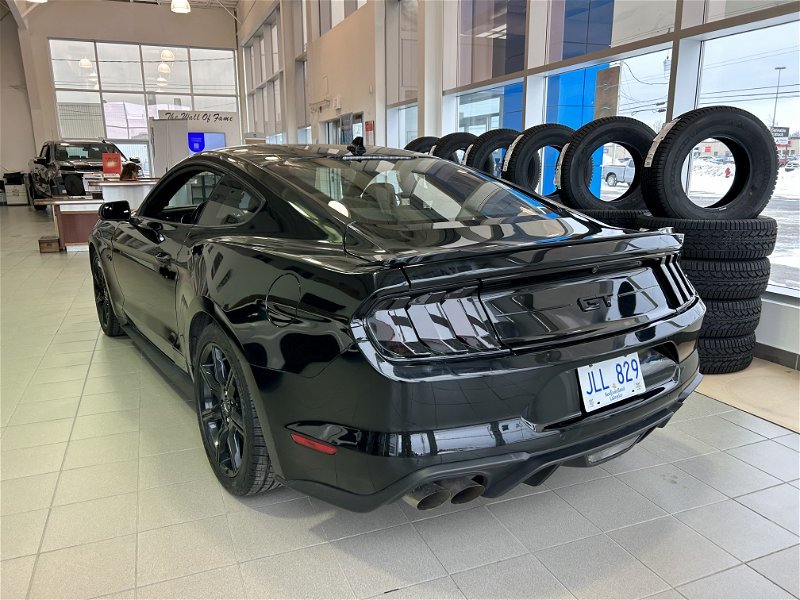 2020  Mustang GT in Gander, Newfoundland and Labrador - 5 - w1024h768px