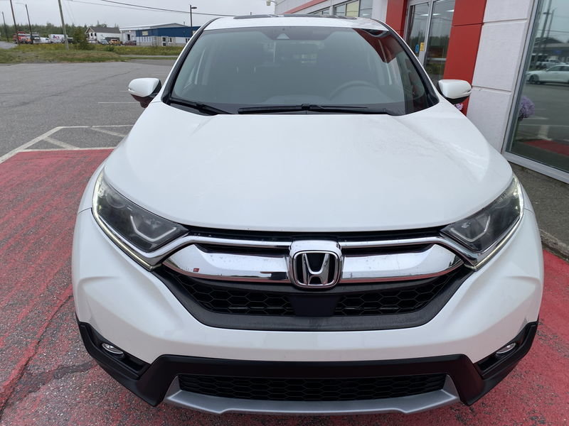 2017  CR-V EX in Newfoundland, Newfoundland and Labrador - 2 - w1024h768px