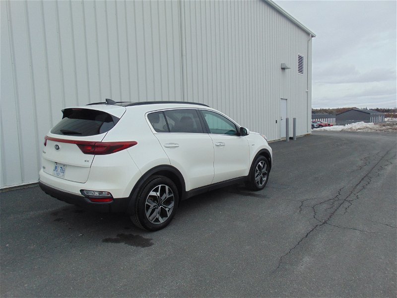 2020  Sportage in St. John's, Newfoundland and Labrador - 5 - w1024h768px