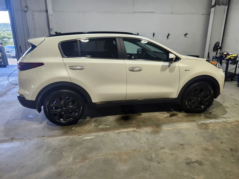 2020  Sportage EX Premium S in Newfoundland, Newfoundland and Labrador - 3 - w1024h768px