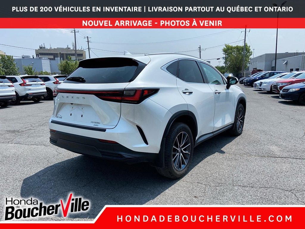 Lexus NX NX 250 2022 à Terrebonne, Québec - 9 - w1024h768px