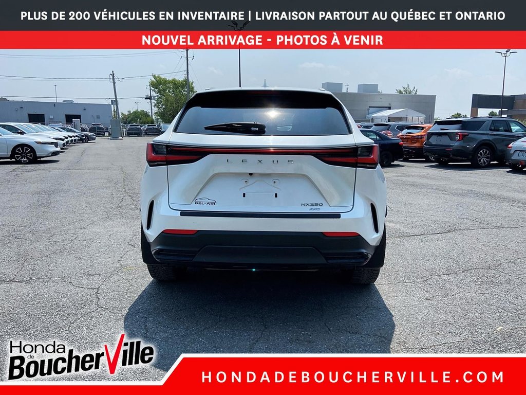 Lexus NX NX 250 2022 à Terrebonne, Québec - 11 - w1024h768px