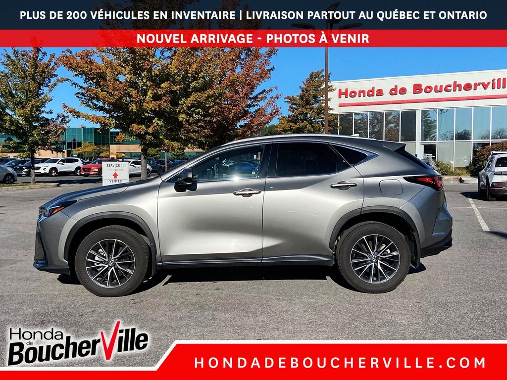 Lexus NX NX 350 2024 à Terrebonne, Québec - 15 - w1024h768px
