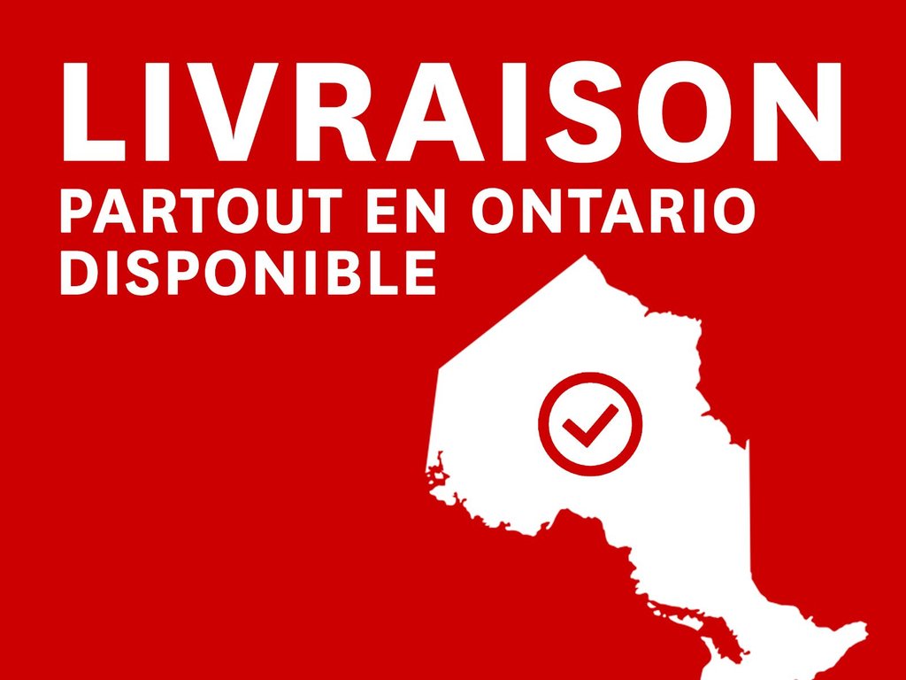 Tesla Model 3 RWD 2022 à Terrebonne, Québec - 18 - w1024h768px