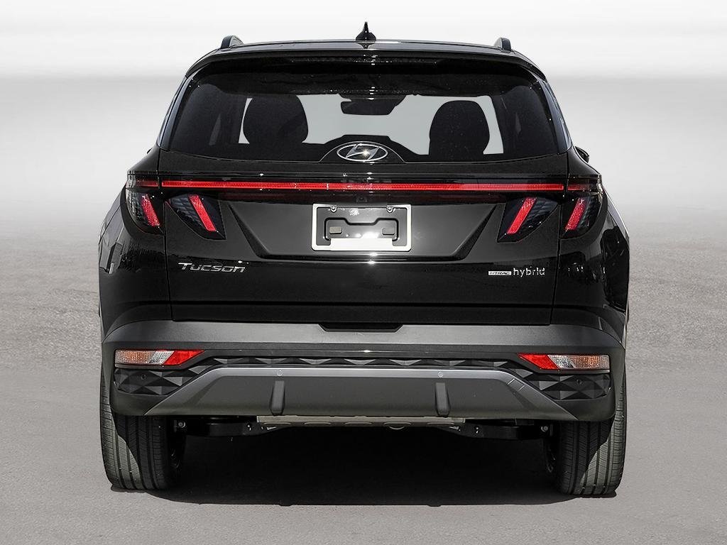 2024  Tucson Hybrid Luxury AWD in Aurora, Ontario - 5 - w1024h768px