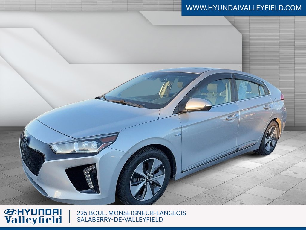 Ioniq Electric