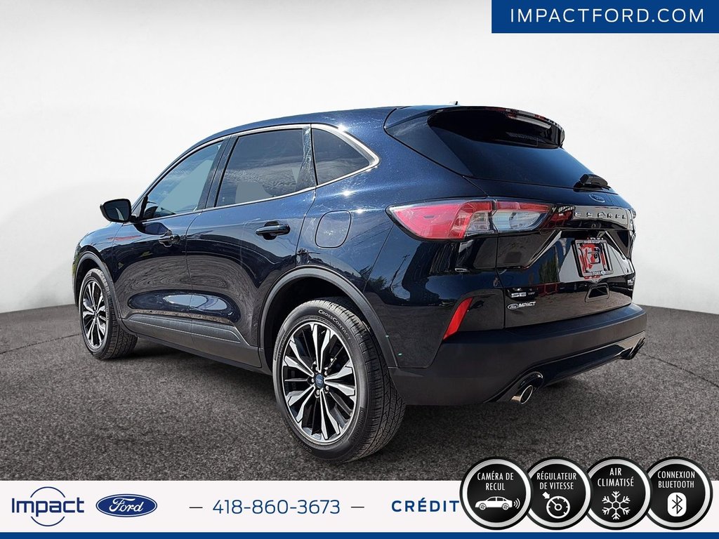 Ford Escape SE Hybrid 2021 à Rivière-du-Loup, Québec - 4 - w1024h768px