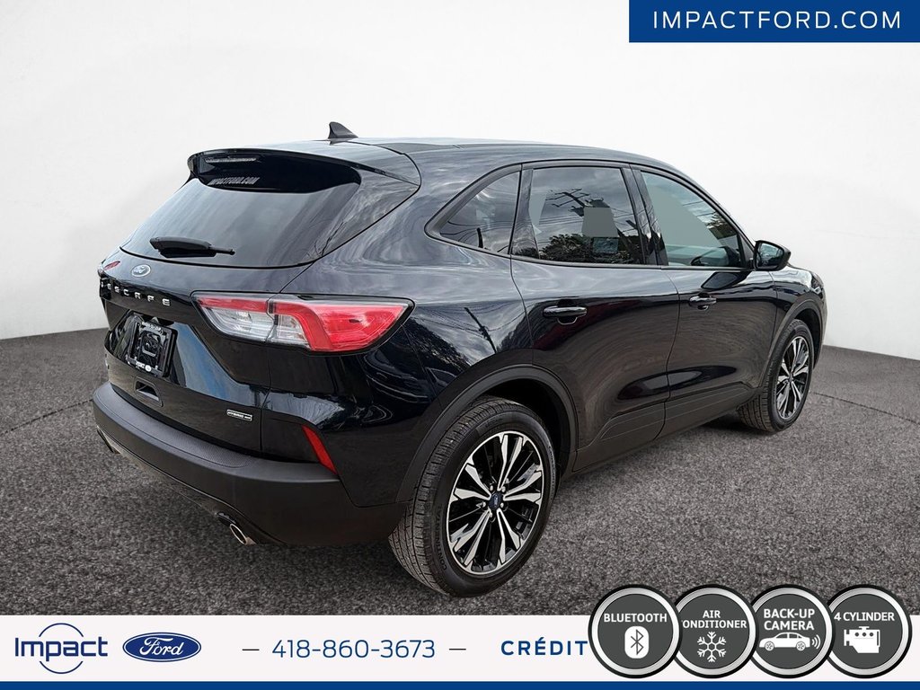 Ford Escape SE Hybrid 2021 à Rivière-du-Loup, Québec - 5 - w1024h768px