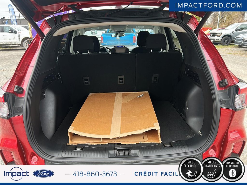 Ford Escape SE 2022 à Rivière-du-Loup, Québec - 10 - w1024h768px