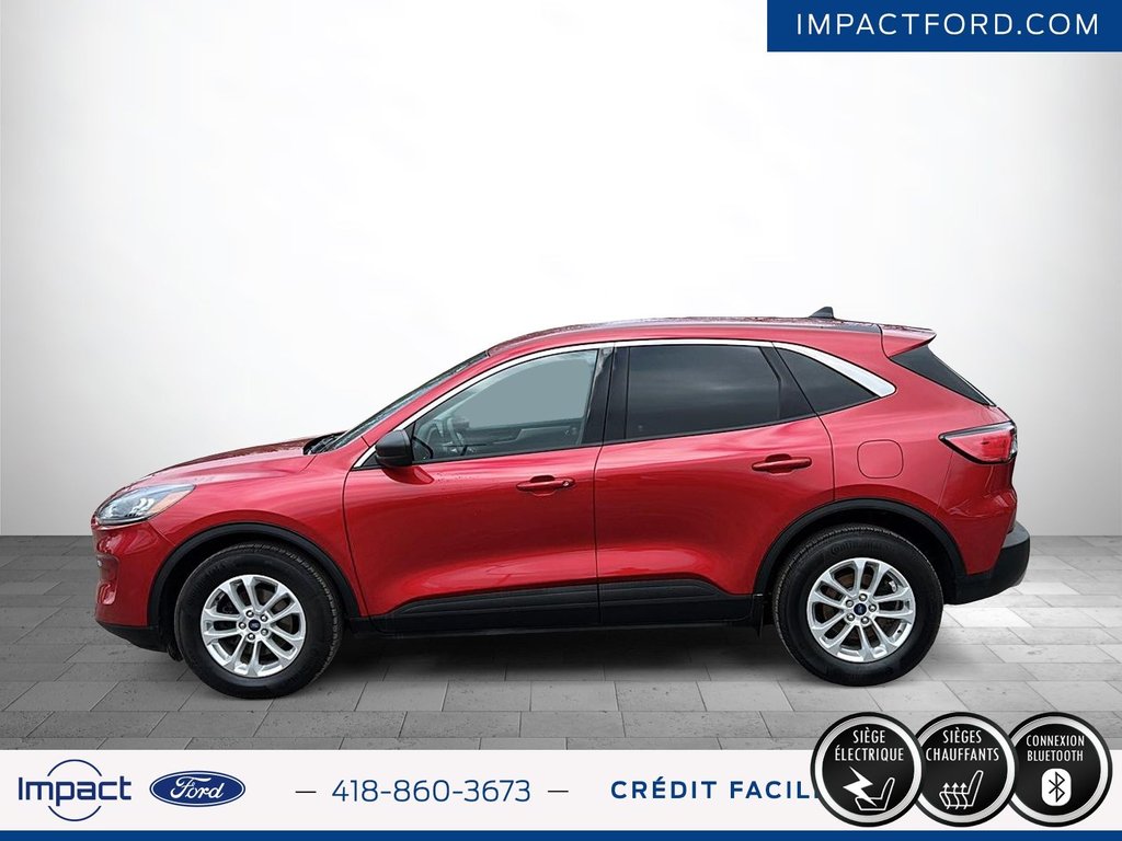 Ford Escape SE 2022 à Rivière-du-Loup, Québec - 9 - w1024h768px