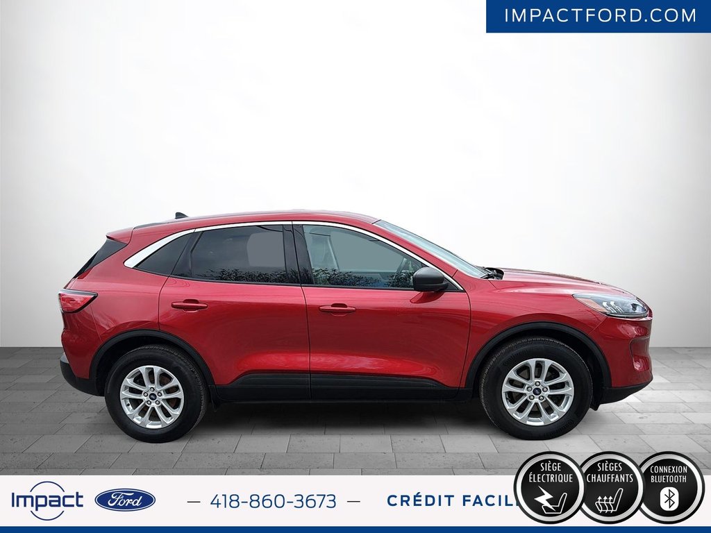 Ford Escape SE 2022 à Rivière-du-Loup, Québec - 5 - w1024h768px