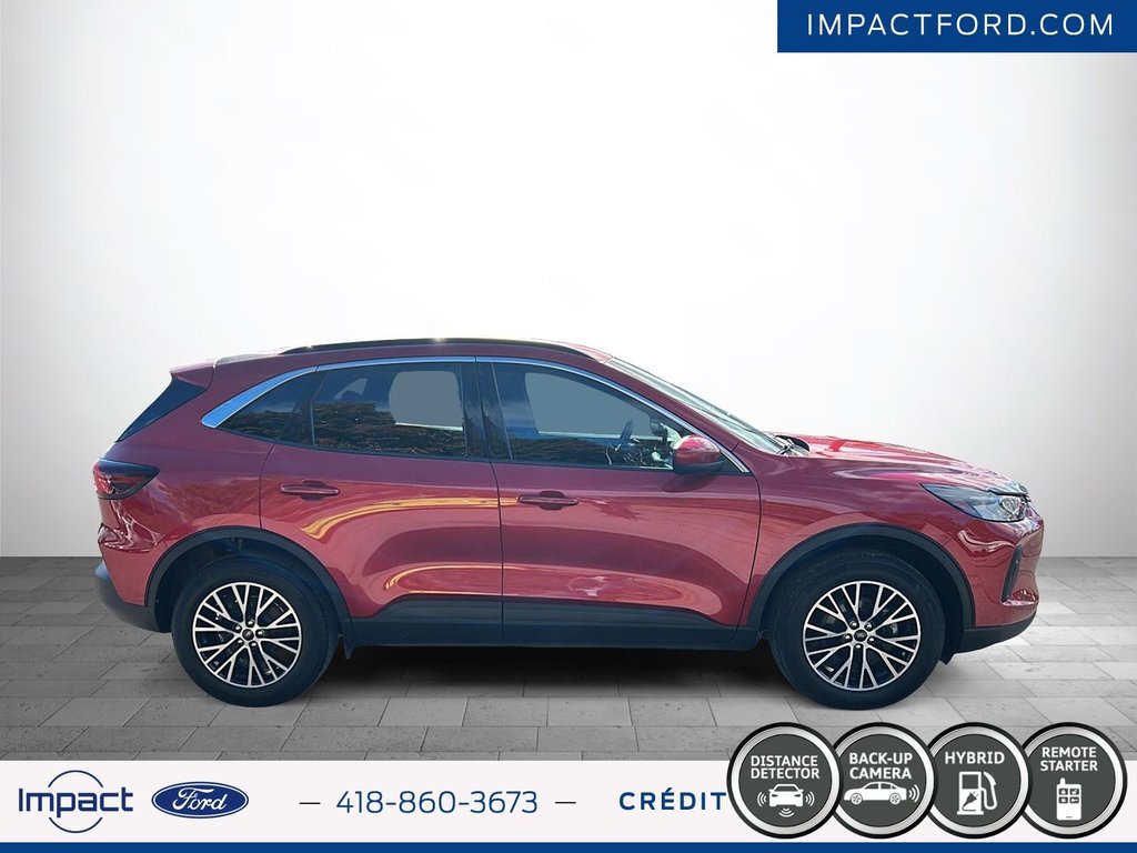 2024 Ford Escape PHEV in Rivière-du-Loup, Quebec - 4 - w1024h768px