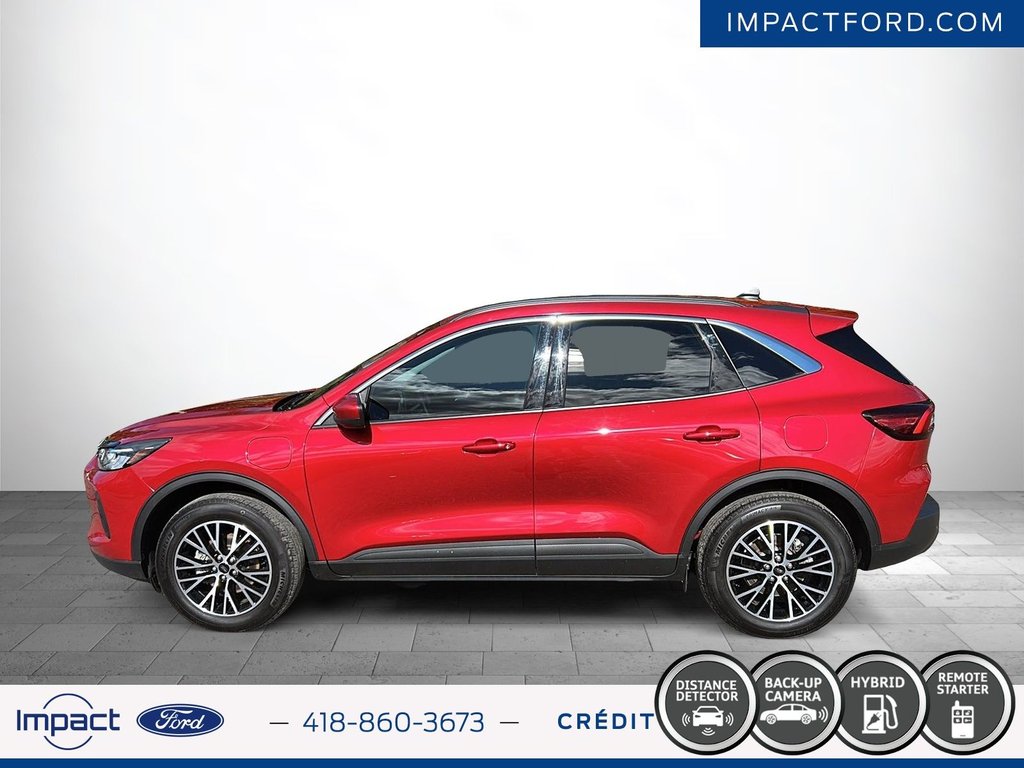 2024 Ford Escape PHEV in Rivière-du-Loup, Quebec - 8 - w1024h768px