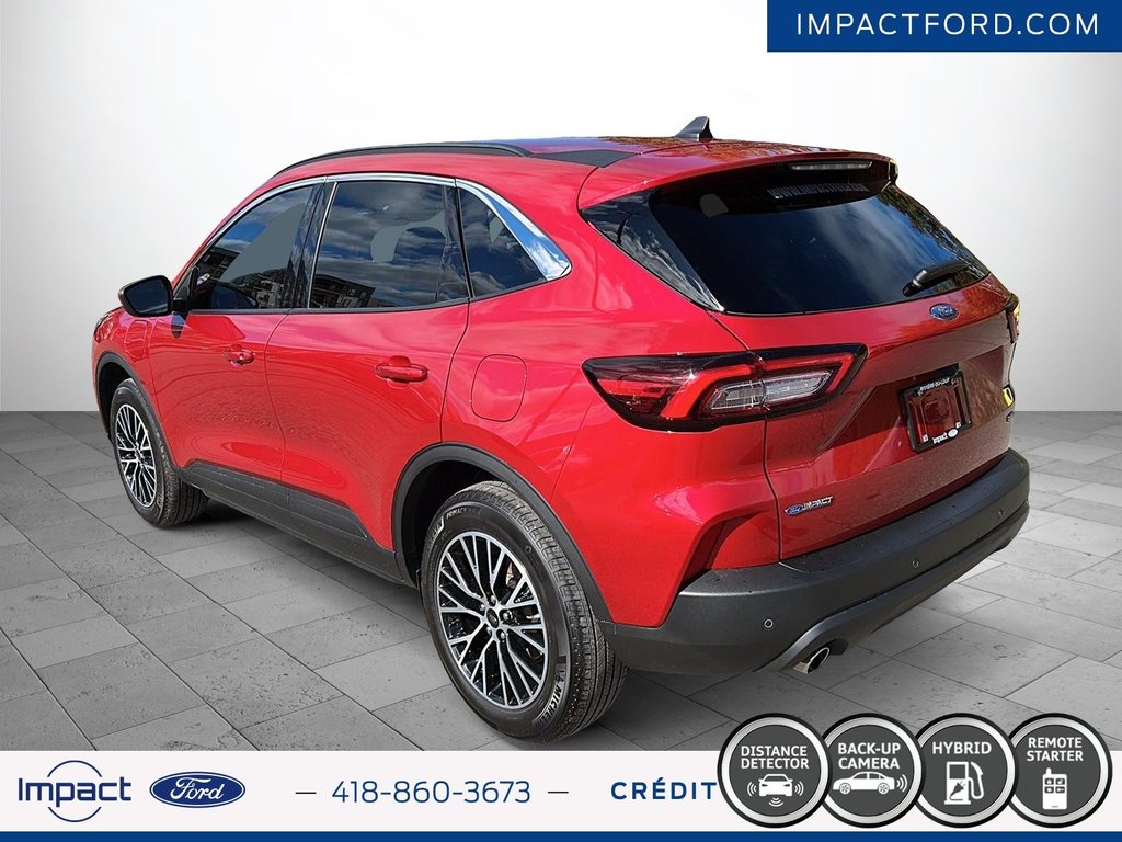 2024 Ford Escape PHEV in Rivière-du-Loup, Quebec - 7 - w1024h768px